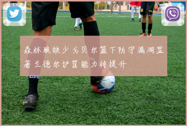 森林狼缺少戈贝尔篮下防守漏洞显著兰德尔护筐能力待提升