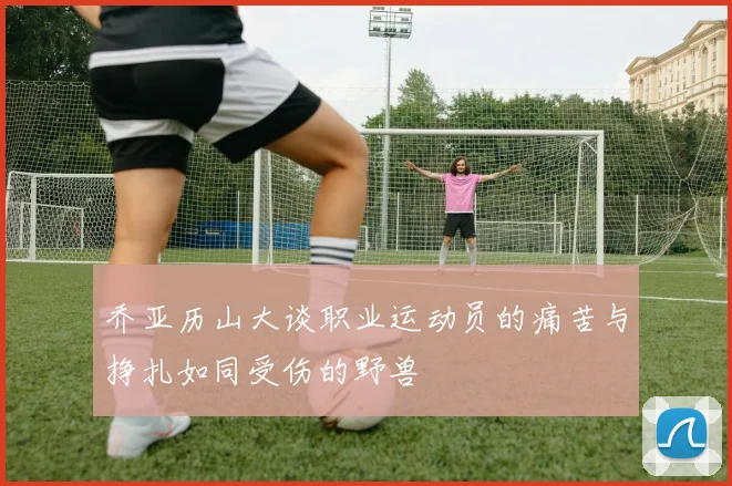 乔亚历山大谈职业运动员的痛苦与挣扎如同受伤的野兽