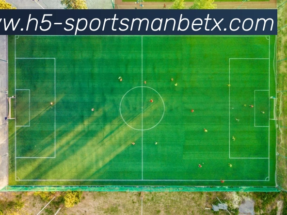 万博体育服务体系